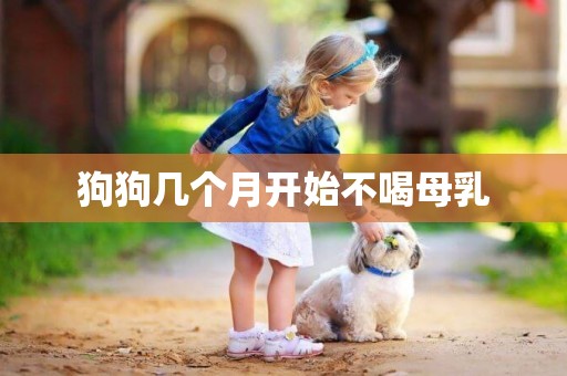 狗狗幾個月開始不喝母乳
