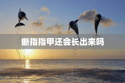 斷指指甲還會長出來嗎