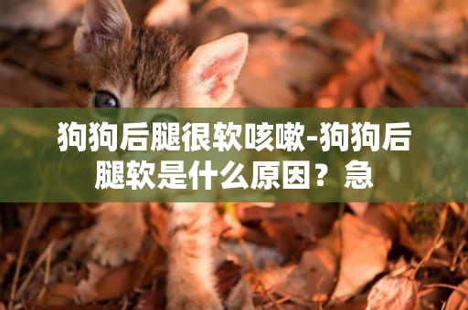 狗狗后腿很軟咳嗽-狗狗后腿軟是什么原因？急