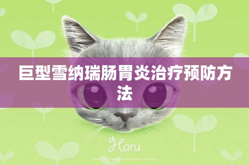 巨型雪納瑞腸胃炎治療預防方法