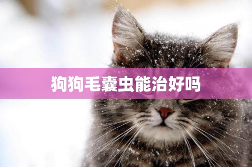 狗狗毛囊蟲能治好嗎