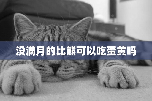 沒滿月的比熊可以吃蛋黃嗎