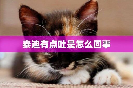 泰迪有點吐是怎么回事