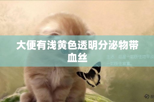 大便有淺黃色透明分泌物帶血絲