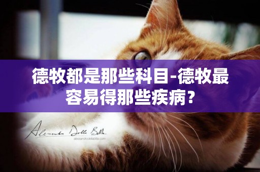 德牧都是那些科目-德牧最容易得那些疾病？