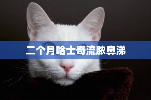 二個月哈士奇流膿鼻涕