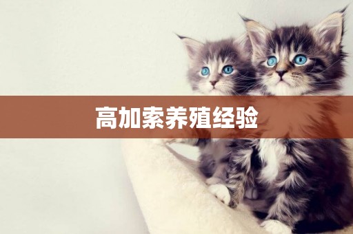 高加索養殖經驗