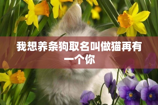 我想養條狗取名叫做貓再有一個你