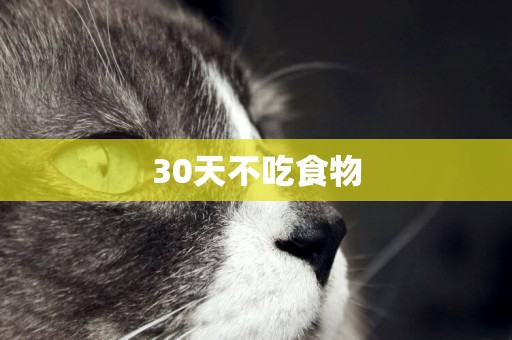 30天不吃食物