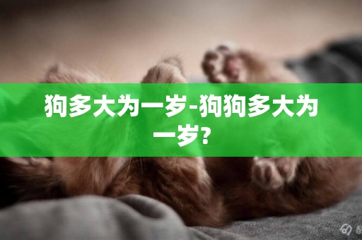 狗多大為一歲-狗狗多大為一歲?