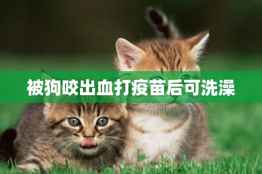 被狗咬出血打疫苗后可洗澡