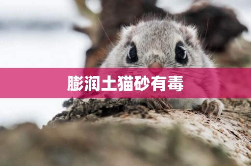 膨潤土貓砂有毒