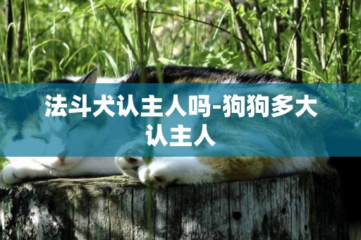 法斗犬認主人嗎-狗狗多大認主人
