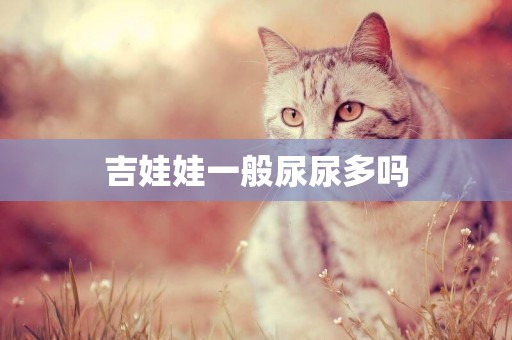 吉娃娃一般尿尿多嗎