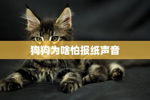 狗狗為啥怕報紙聲音