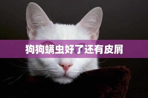 狗狗螨蟲好了還有皮屑