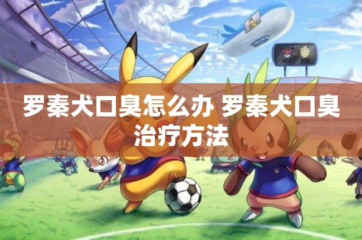 羅秦犬口臭怎么辦 羅秦犬口臭治療方法