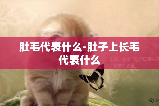 肚毛代表什么-肚子上長毛代表什么