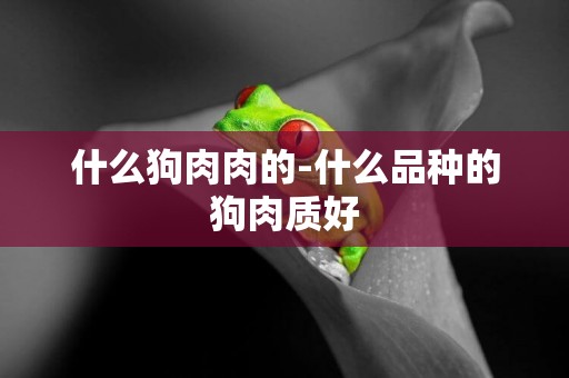 什么狗肉肉的-什么品種的狗肉質好