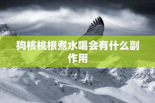 狗核桃根煮水喝會有什么副作用