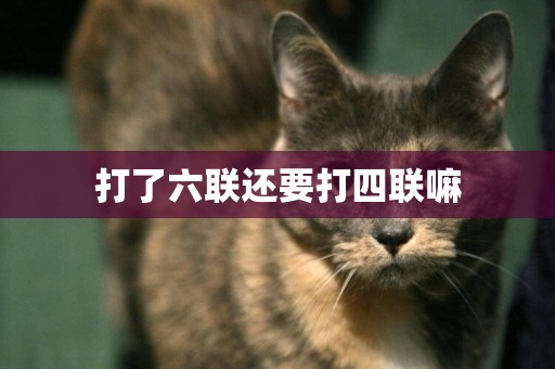 打了六聯還要打四聯嘛