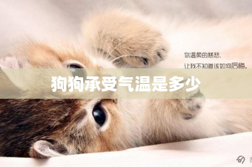 狗狗承受氣溫是多少