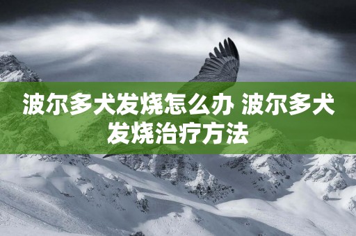 波爾多犬發燒怎么辦 波爾多犬發燒治療方法