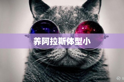 養阿拉斯體型小