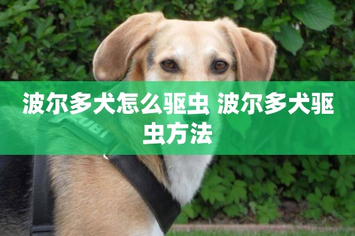 波爾多犬怎么驅蟲 波爾多犬驅蟲方法