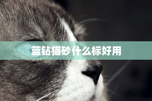藍鉆貓砂什么標好用