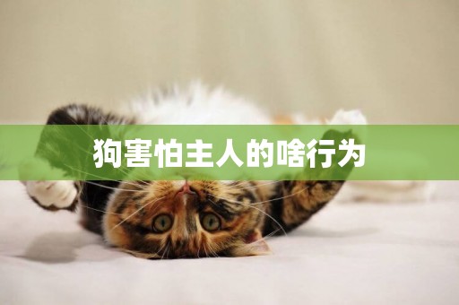狗害怕主人的啥行為