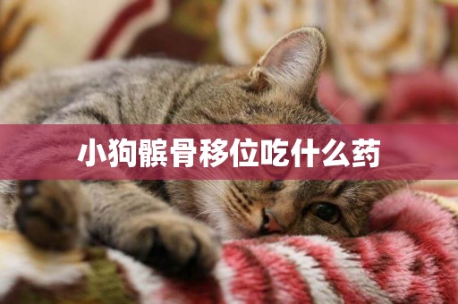 小狗髕骨移位吃什么藥