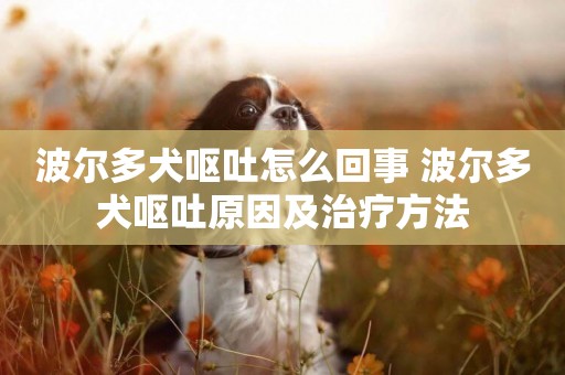 波爾多犬嘔吐怎么回事 波爾多犬嘔吐原因及治療方法