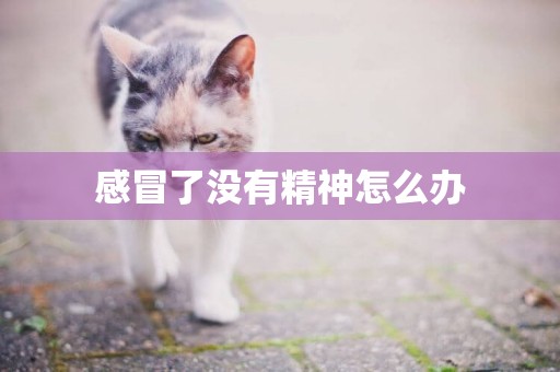 感冒了沒有精神怎么辦