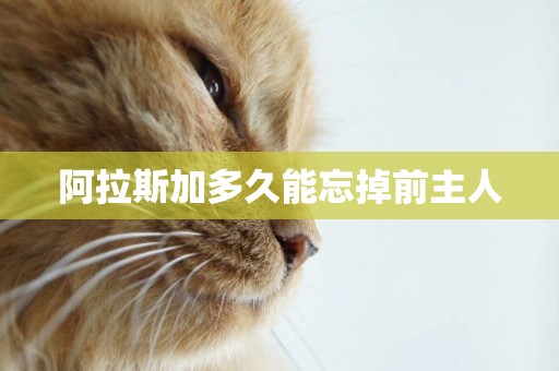 阿拉斯加多久能忘掉前主人
