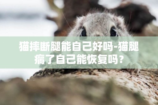 貓摔斷腿能自己好嗎-貓腿瘸了自己能恢復嗎？