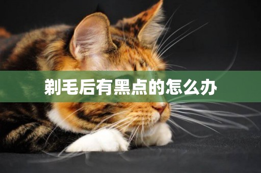 剃毛后有黑點的怎么辦