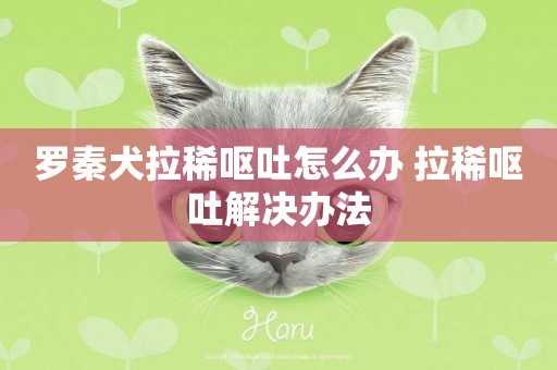 羅秦犬拉稀嘔吐怎么辦 拉稀嘔吐解決辦法
