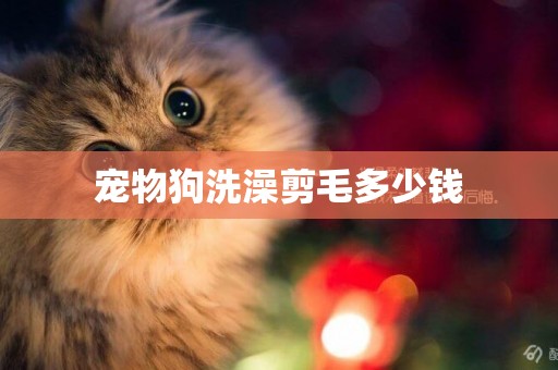 寵物狗洗澡剪毛多少錢