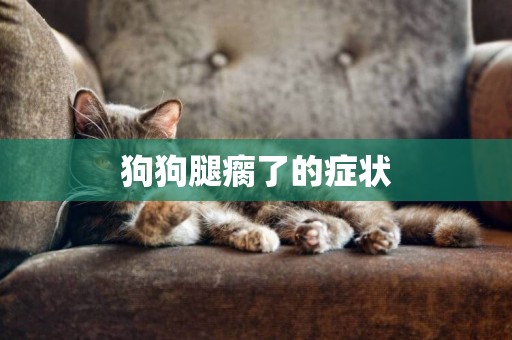狗狗腿瘸了的癥狀
