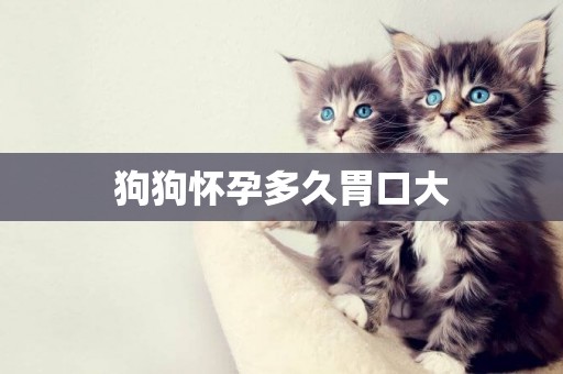 狗狗懷孕多久胃口大