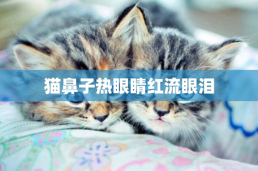貓鼻子熱眼睛紅流眼淚