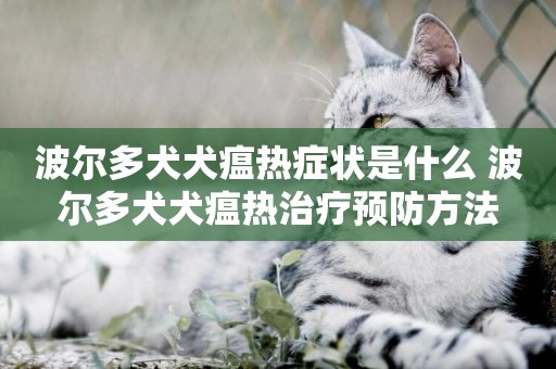 波爾多犬犬瘟熱癥狀是什么 波爾多犬犬瘟熱治療預防方法