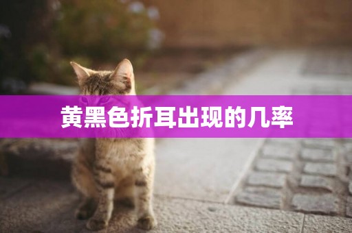 黃黑色折耳出現的幾率