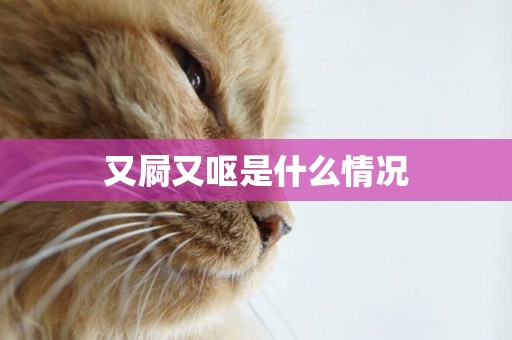 又屙又嘔是什么情況
