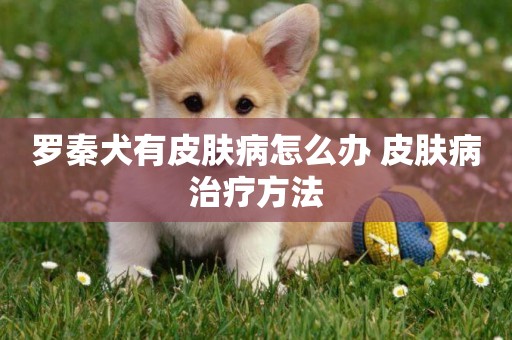 羅秦犬有皮膚病怎么辦 皮膚病治療方法