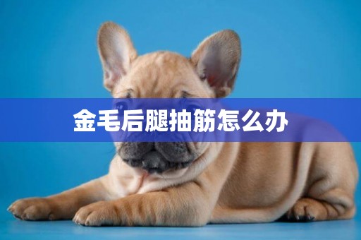 金毛后腿抽筋怎么辦