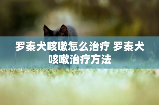 羅秦犬咳嗽怎么治療 羅秦犬咳嗽治療方法