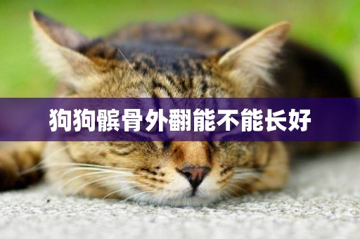 狗狗髕骨外翻能不能長好
