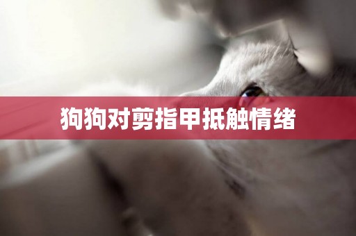 狗狗對剪指甲抵觸情緒